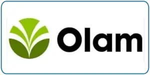 olam